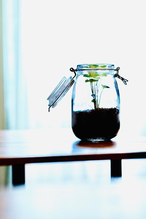Plant House San Paolo Vakantiehuis *